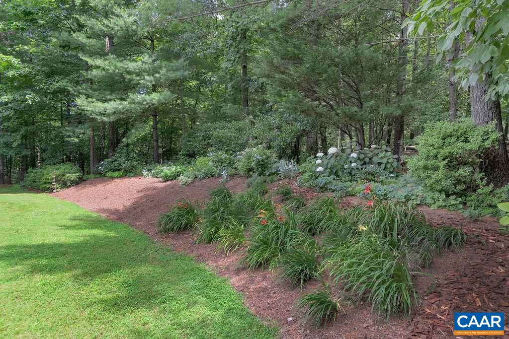 1080 Tilman Road Charlottesville, VA 22901 - Photo 4 of 34 a view of a yard with a tree