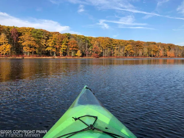 an aerial view of a yard