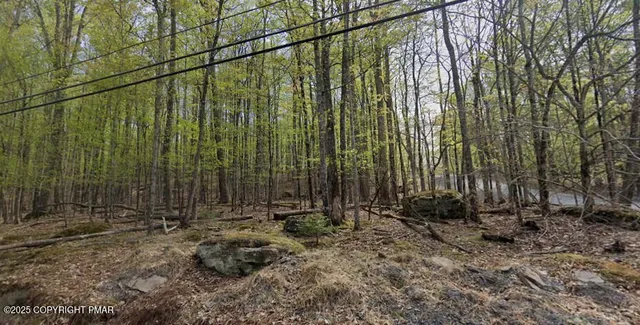 a view of outdoor space with lots of trees