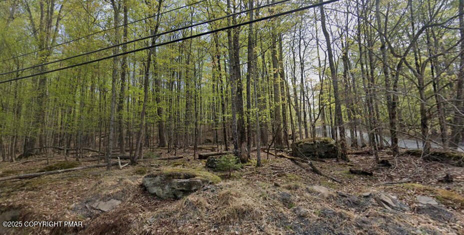 597 Upper Playground Trail Hawley, PA 18428 - Photo 2 of 14 a view of outdoor space with lots of trees