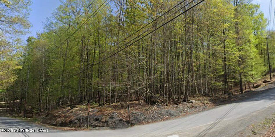 597 Upper Playground Trail Hawley, PA 18428 - Photo 3 of 14 a view of a wooden fence
