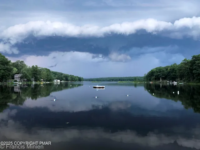 a view of a green field with lots of bushes
