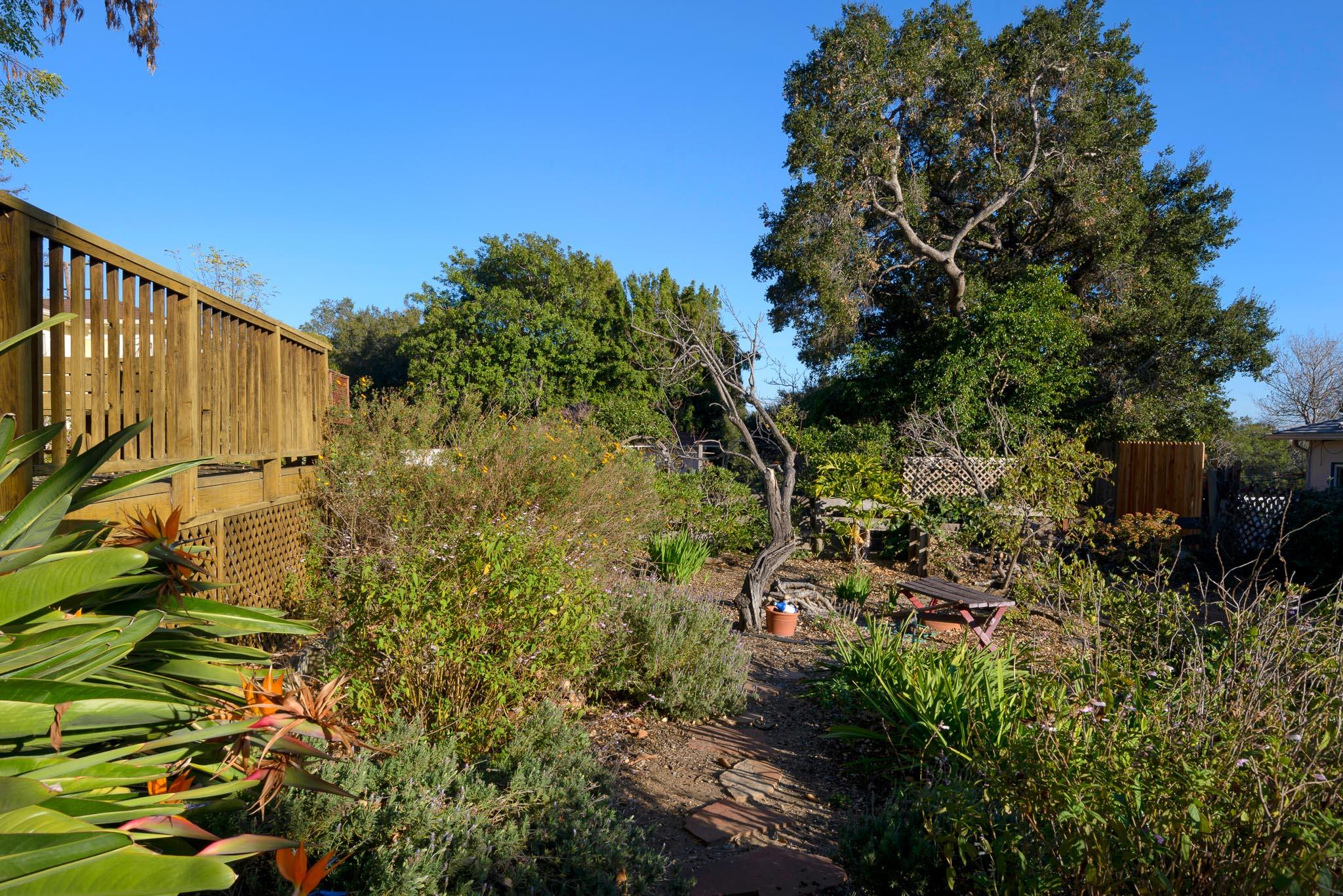 734 San Roque Road Santa Barbara, CA 93105 - Photo 17 of 20 Numerous fruit trees!