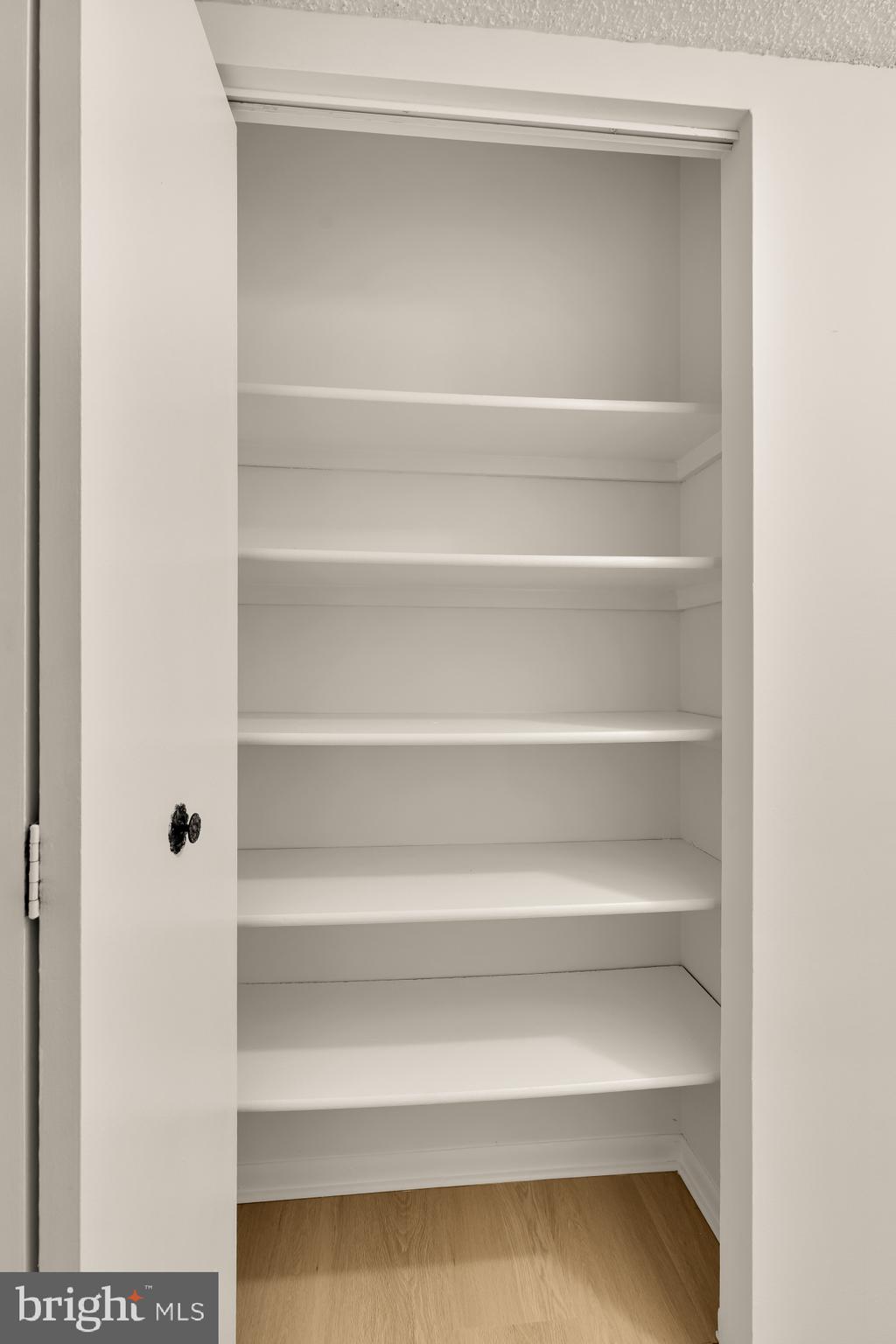 11833 Shire Court, Unit 21B Reston, VA 20191 - Photo 18 of 37 a view of walk in closet with empty racks