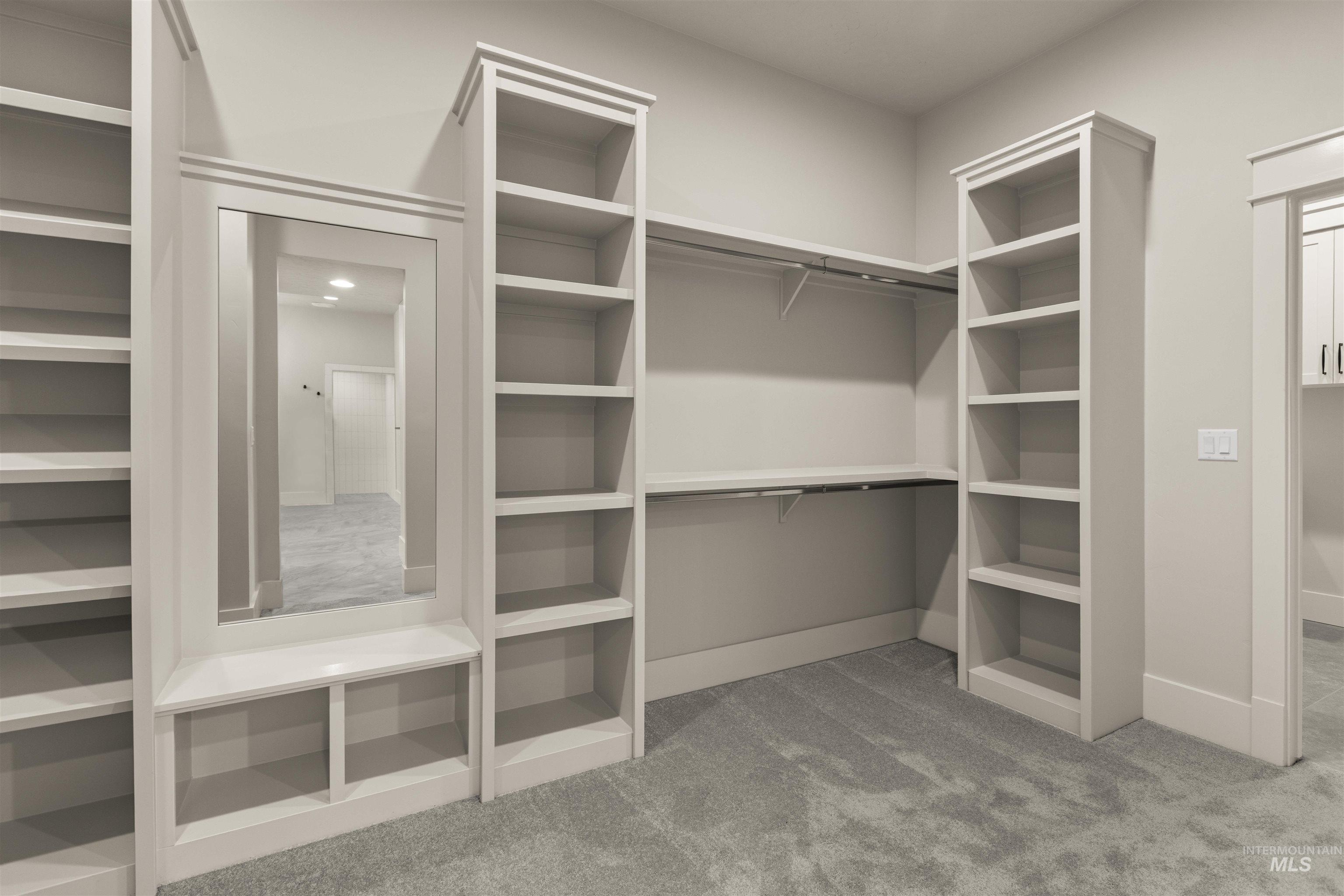 6844 South Messner Way Meridian, ID 83642 - Photo 29 of 49 Walk in closet featuring light carpet