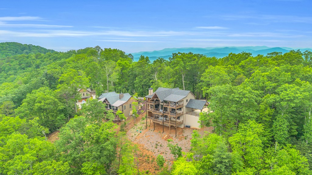 601 Overlook Drive Blue Ridge, GA 30513 - Photo 65 of 69