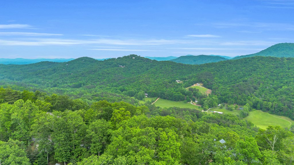 601 Overlook Drive Blue Ridge, GA 30513 - Photo 67 of 69