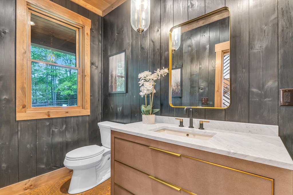 601 Overlook Drive Blue Ridge, GA 30513 - Photo 68 of 69