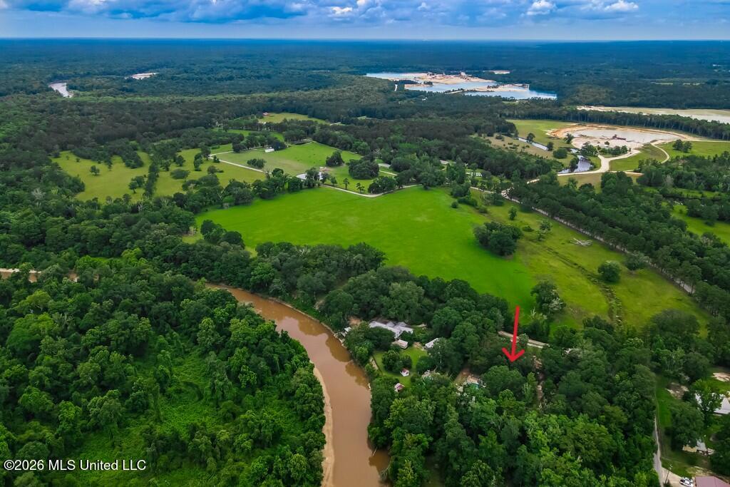 557 Walkiah Blf Road Picayune, MS 39466 - Photo 51 of 53 O_Aerial10
