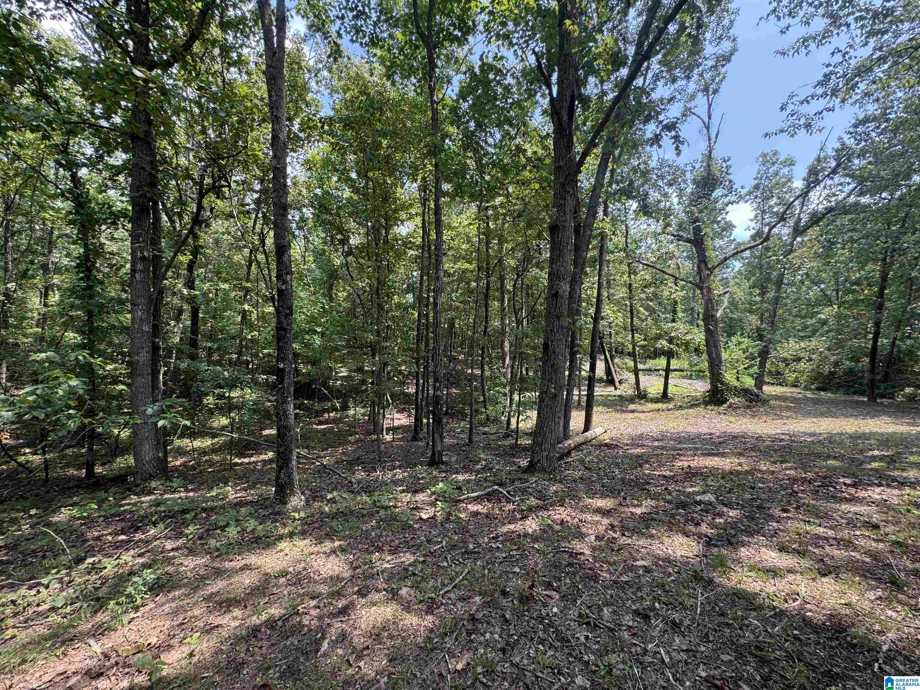 305 Stone Ridge Trail North Anniston, AL 36207 - Photo 71 of 72