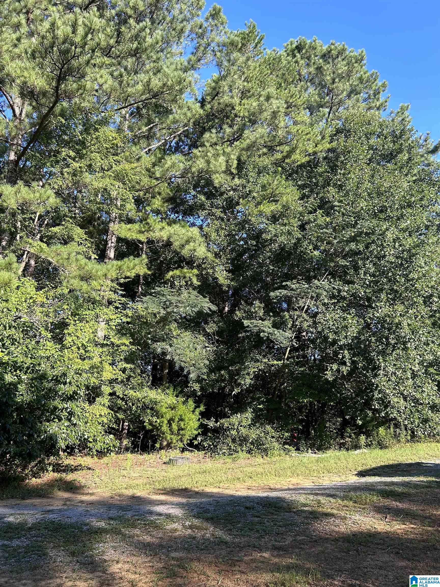 9672 Silley Dean Road, Unit MOORES SUBDIVISION Pinson, AL 35126 - Photo 3 of 8
