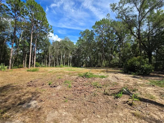 a view of backyard space and trees