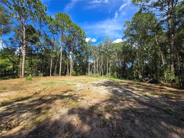a view of road with trees