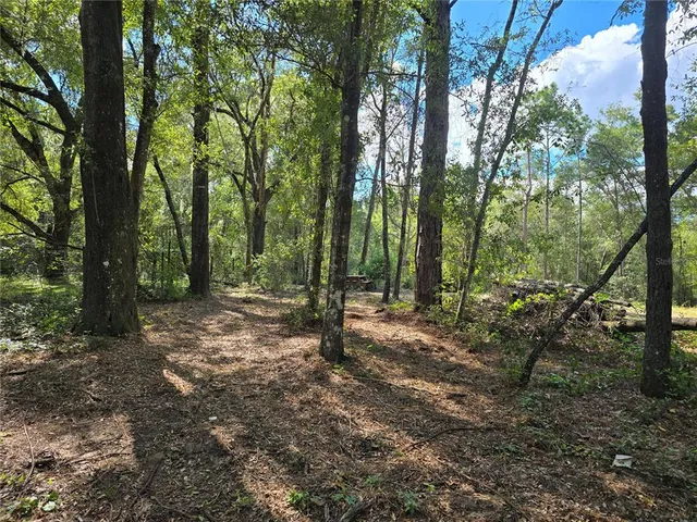 a view of outdoor space and trees