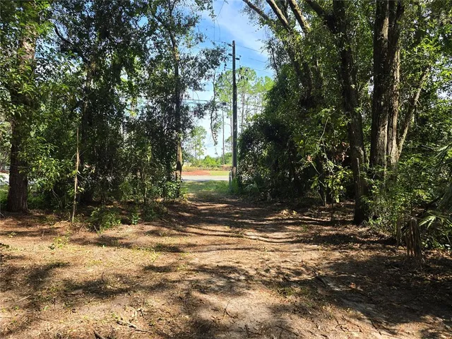 a view of a yard with plants and trees