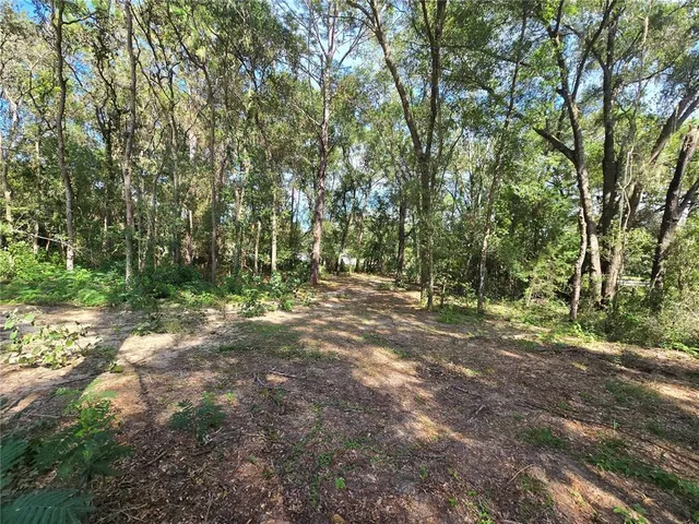 a view of outdoor space with trees