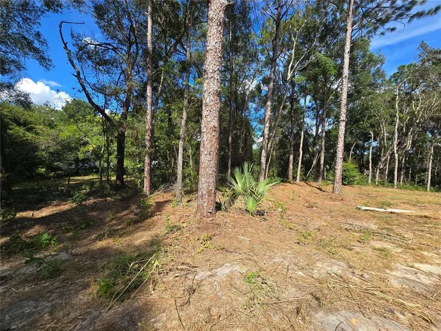 a view of outdoor space with trees