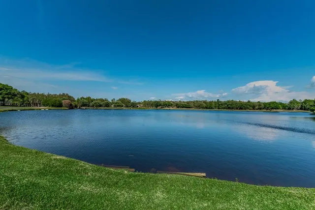 a view of a lake from a yard