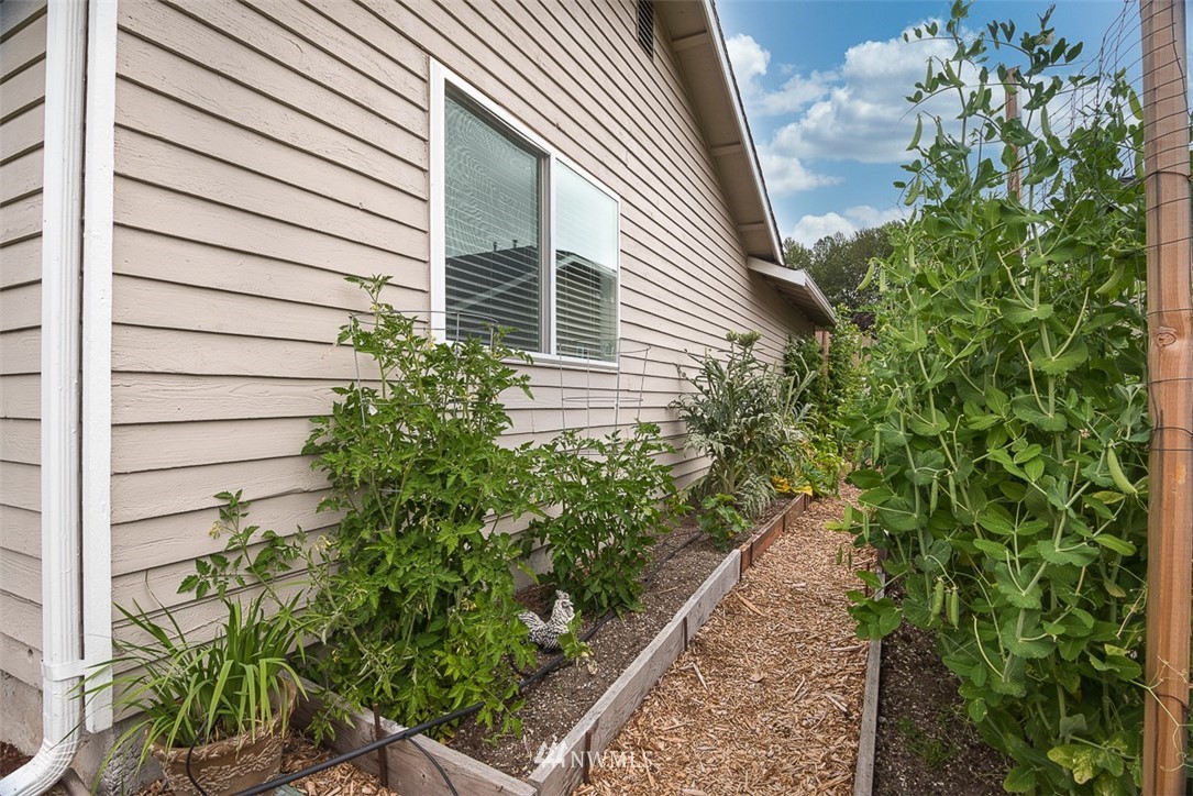 1326 232nd Place Southwest Bothell, WA 98021 - Photo 22 of 23 a backyard of a house with lots of green space