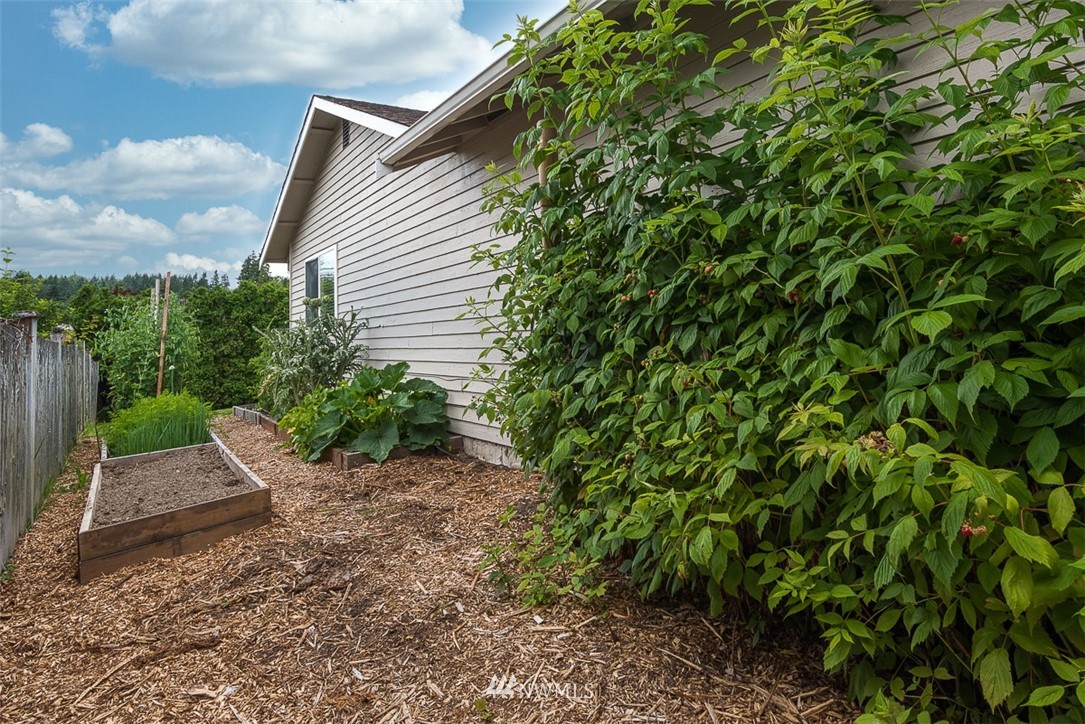 1326 232nd Place Southwest Bothell, WA 98021 - Photo 23 of 23 a view of a backyard with plants