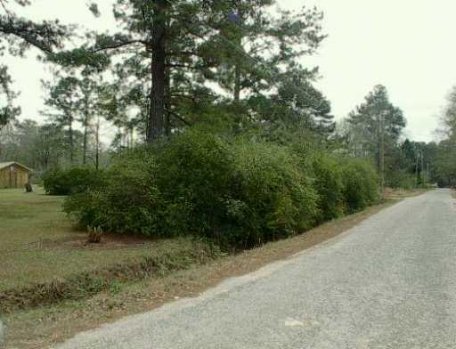 20 Moore Road Picayune, MS 39466 - Photo 3 of 3