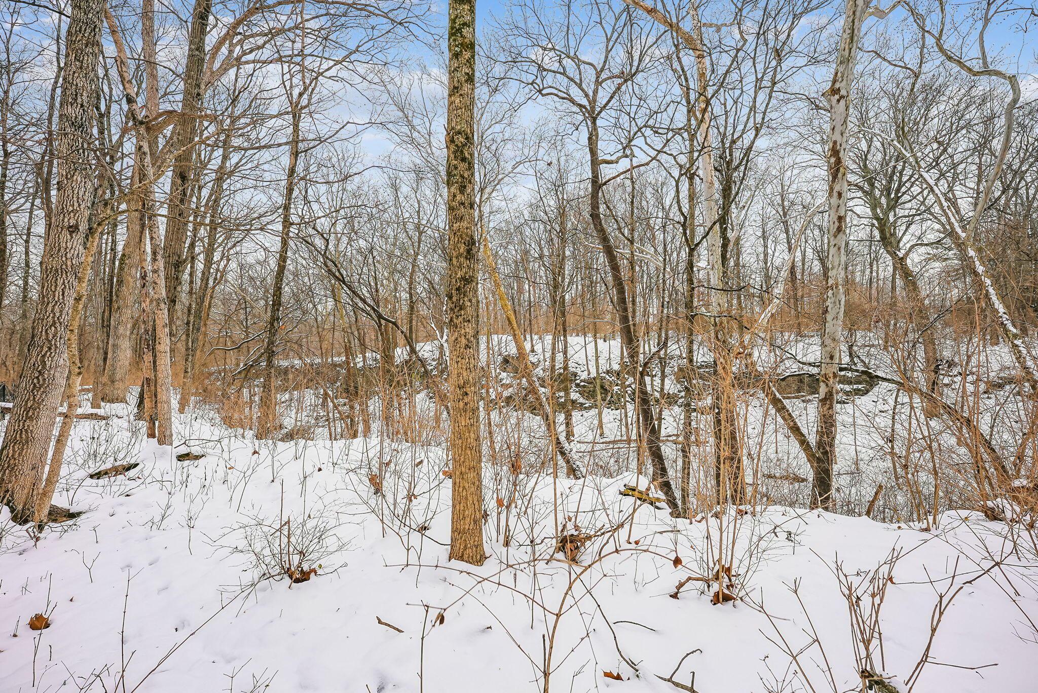 4800 Deer Run Road Dublin, OH 43017 - Photo 18 of 36 19-web-or-mls-4800-deer-run-rd