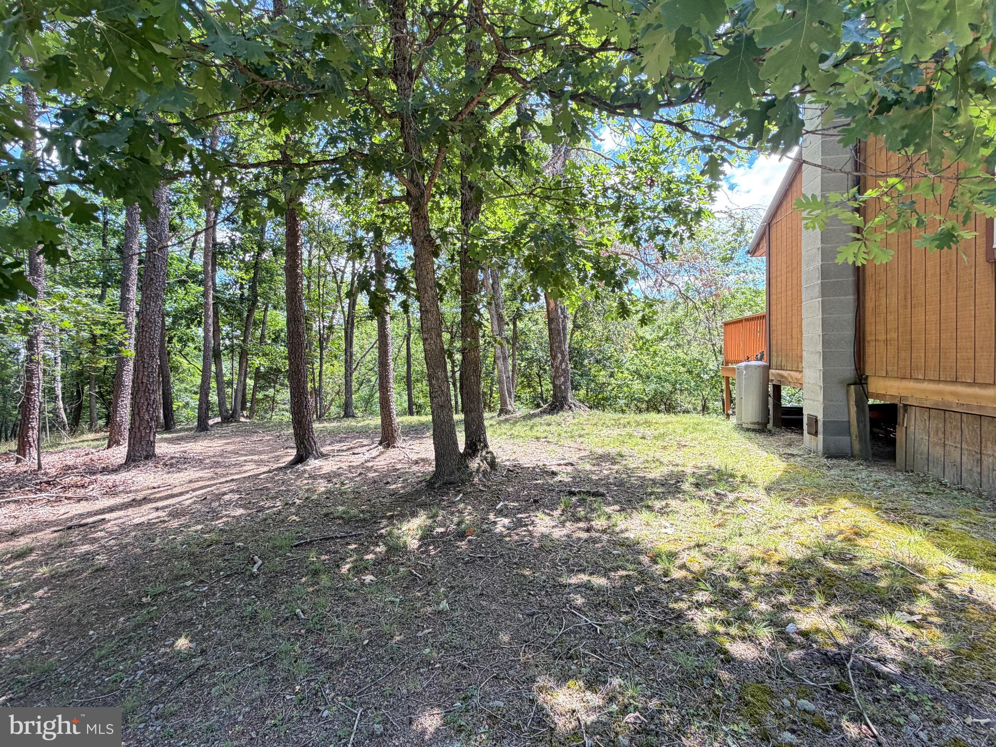 511 Chickadee Road Purgitsville, WV 26852 - Photo 60 of 99