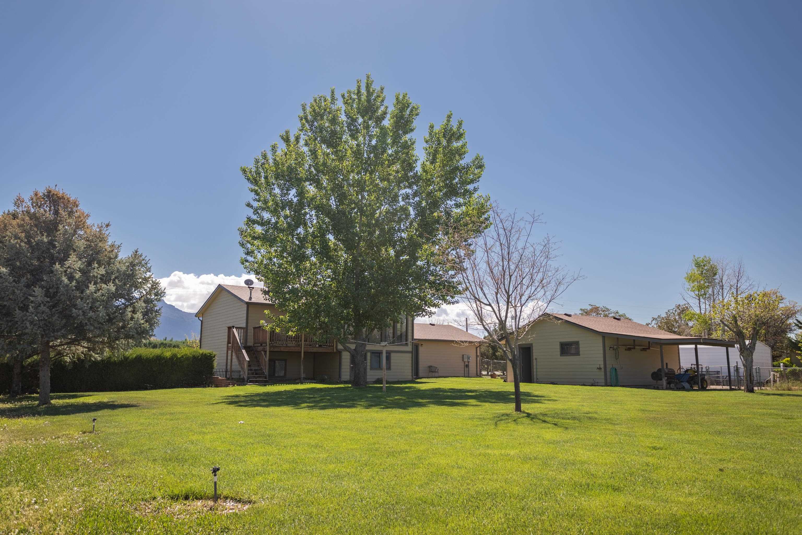 477 35 Road Palisade, CO 81526 - Photo 24 of 32 a house with a yard