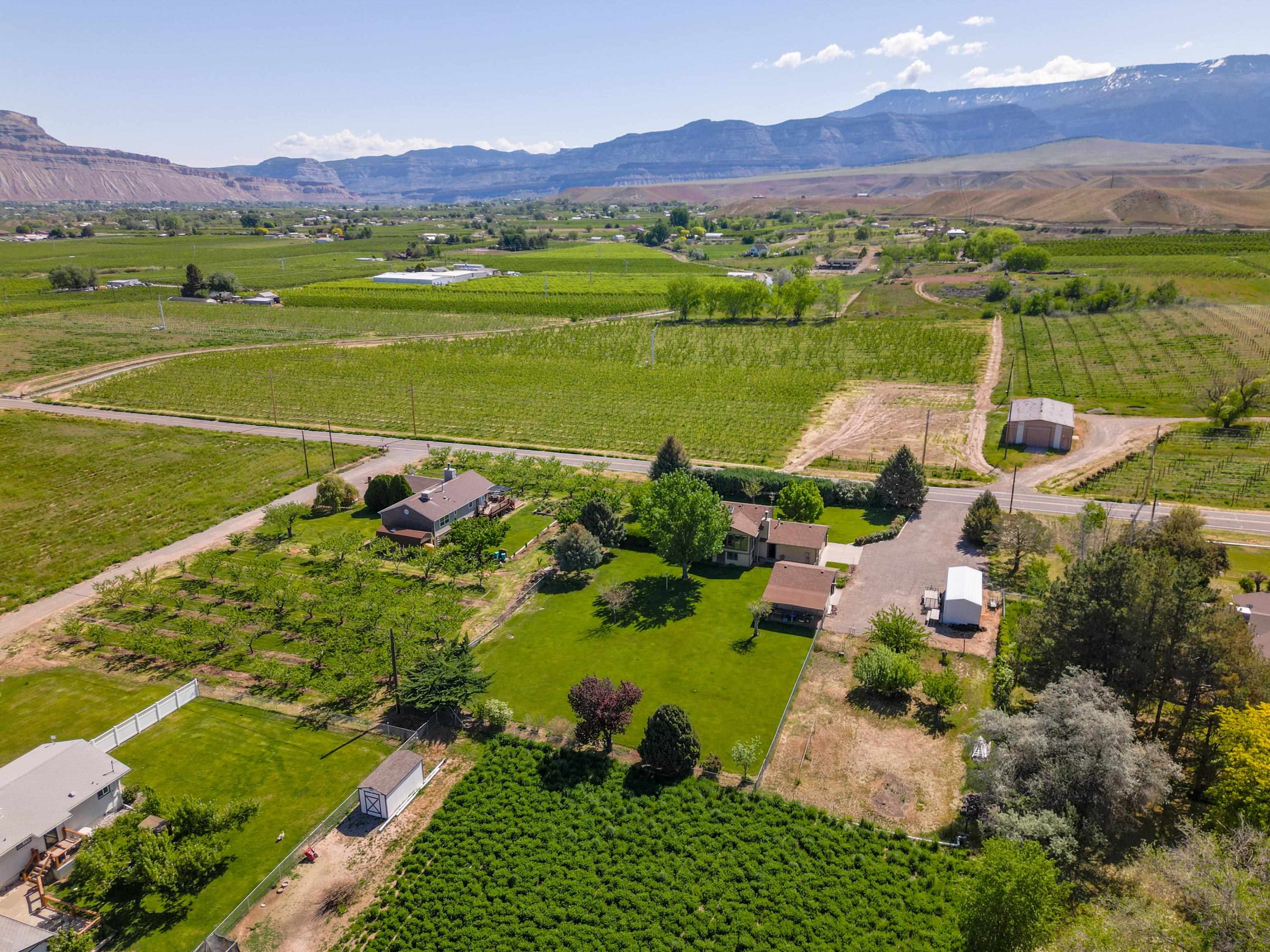 477 35 Road Palisade, CO 81526 - Photo 29 of 32 a view of a town with mountains in the background