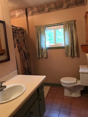 6582 Potter Road Bear Lake, MI 49614 - Photo 13 of 28 diana bathroom