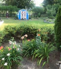 6582 Potter Road Bear Lake, MI 49614 - Photo 26 of 28 diana shed