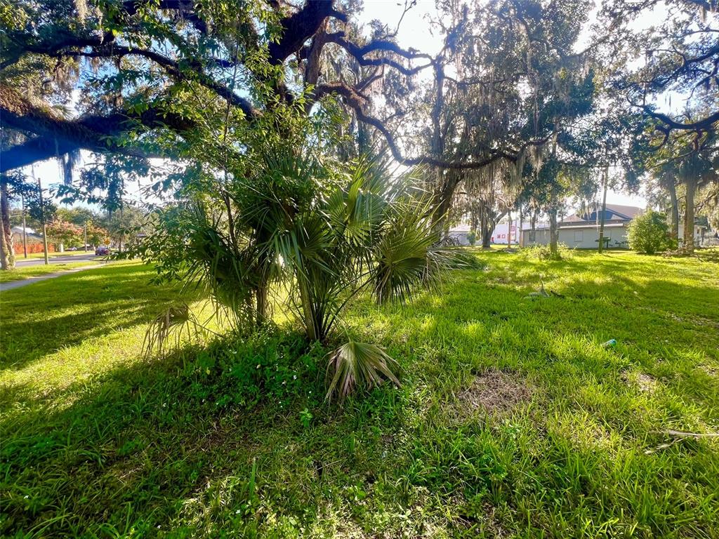 0 Laurel Avenue Sanford, FL 32771 - Photo 14 of 15 a view of a garden with a tree
