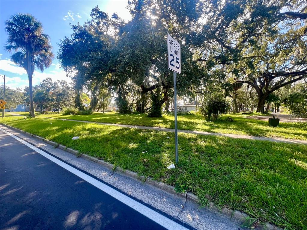 0 Laurel Avenue Sanford, FL 32771 - Photo 15 of 15 a view of a park with large trees