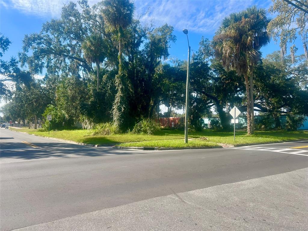 0 Laurel Avenue Sanford, FL 32771 - Photo 9 of 15 a view of a yard