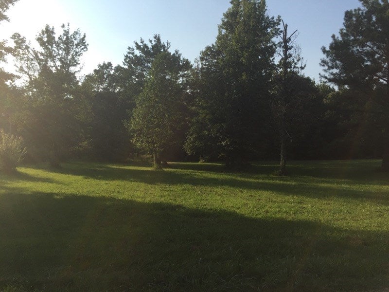 Lot 24 Lock 5 Road Roundhill, KY 42275 - Photo 6 of 6 Gallery Image 6