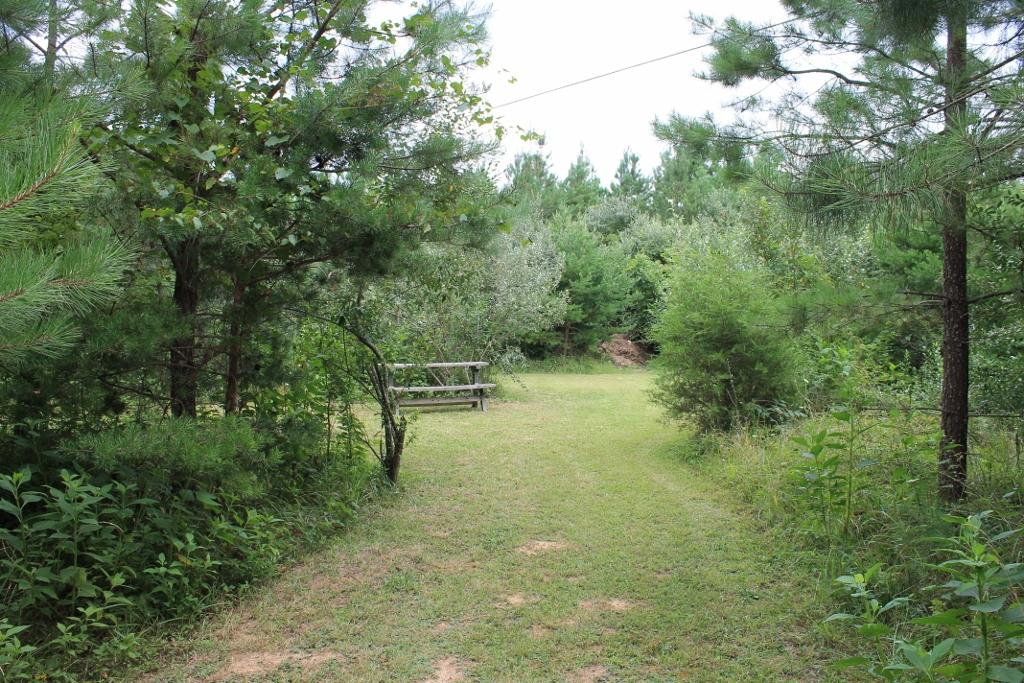 10308 Potts Creek Road Covington, VA 24426 - Photo 14 of 18 shooting range