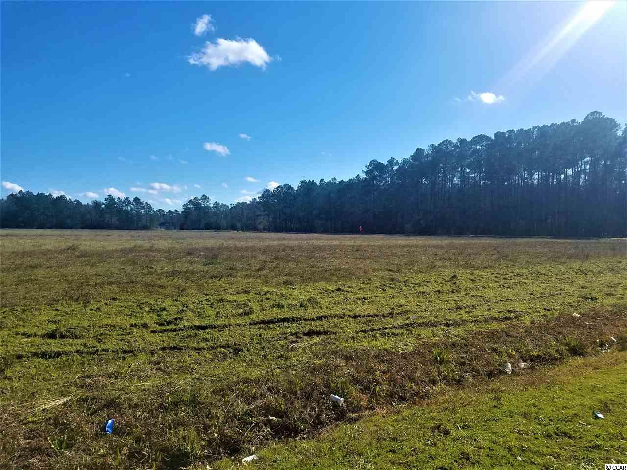 Tbd1 Old Reaves Ferry Road Conway, SC 29526 - Photo 1 of 20 Gallery Image 1