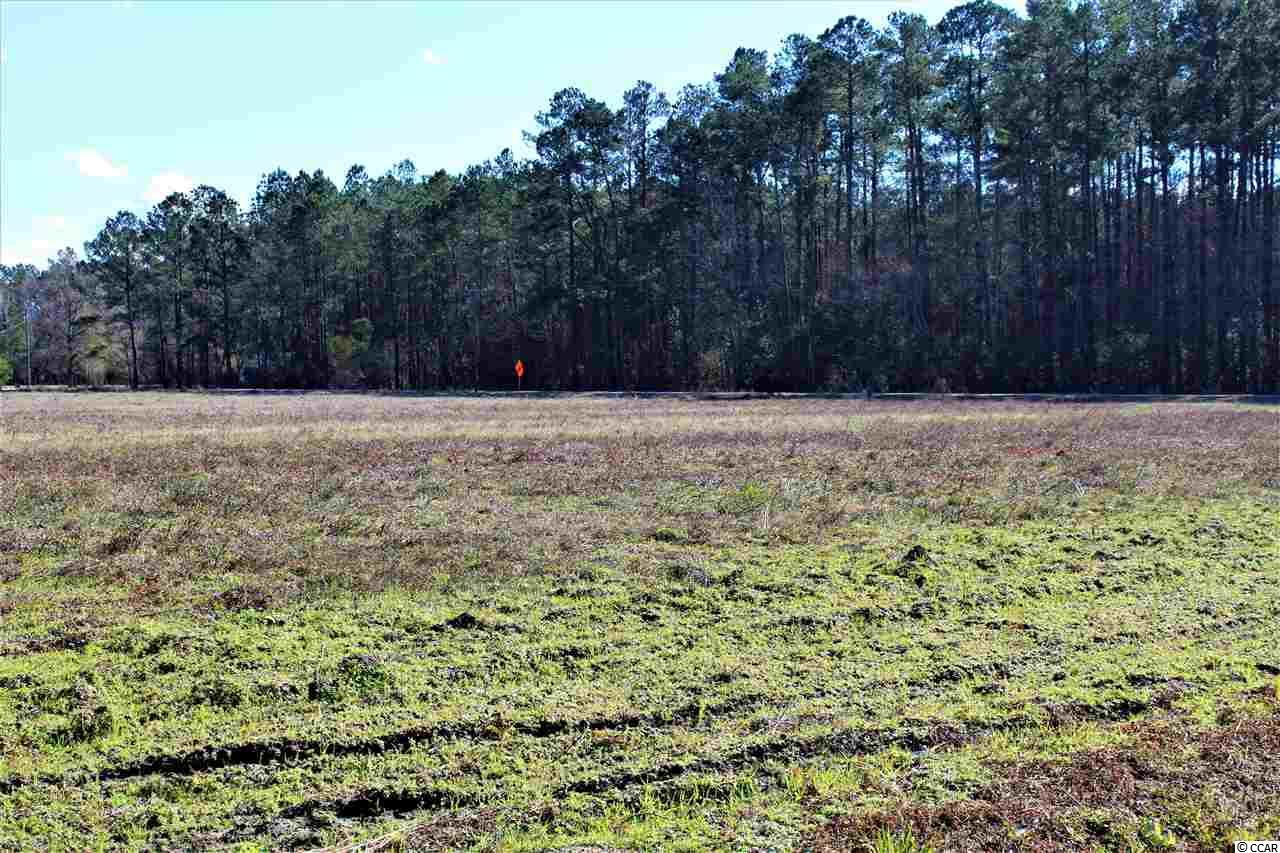 Tbd1 Old Reaves Ferry Road Conway, SC 29526 - Photo 11 of 20 Gallery Image 11