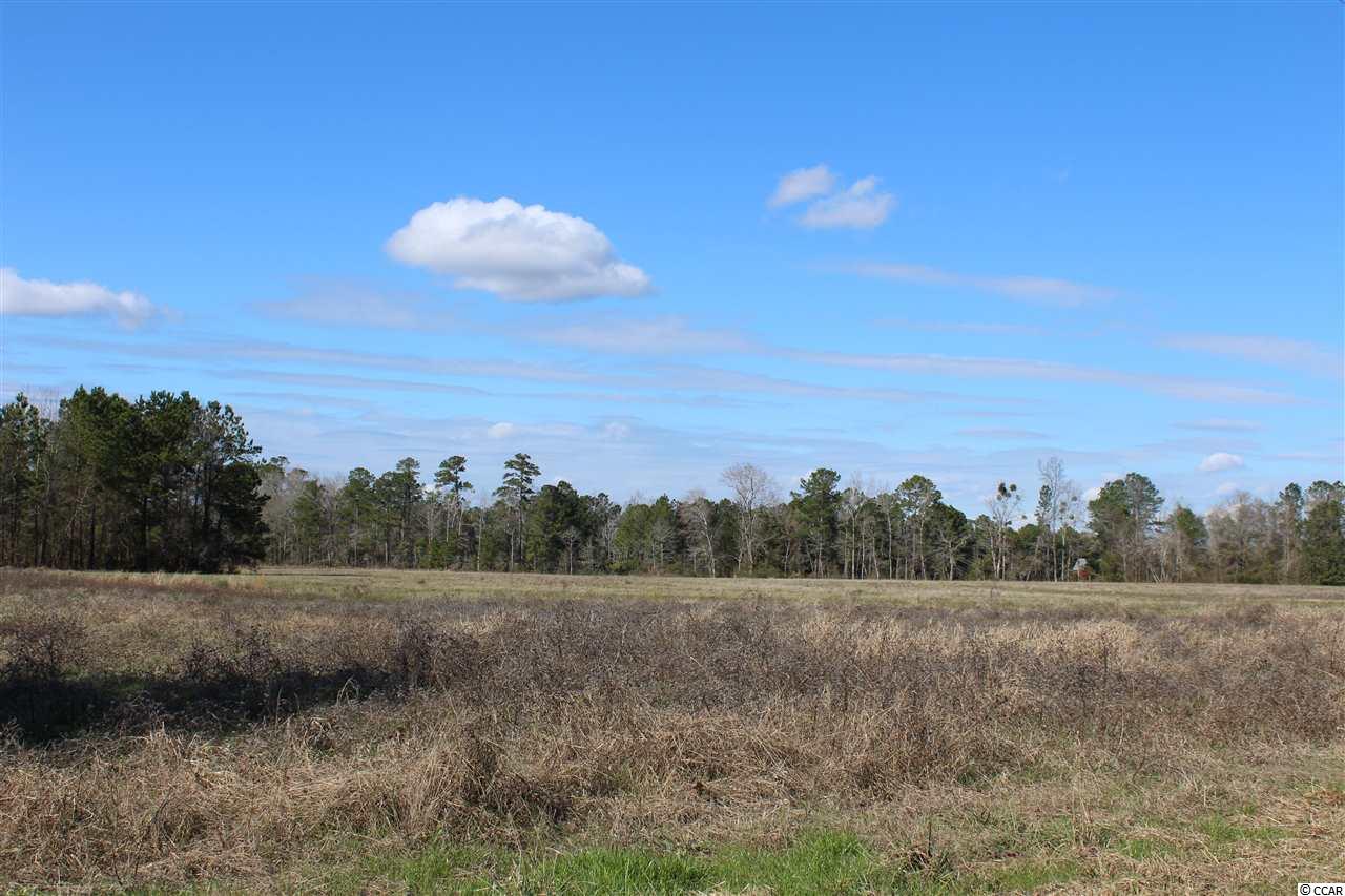 Tbd1 Old Reaves Ferry Road Conway, SC 29526 - Photo 13 of 20 Gallery Image 13