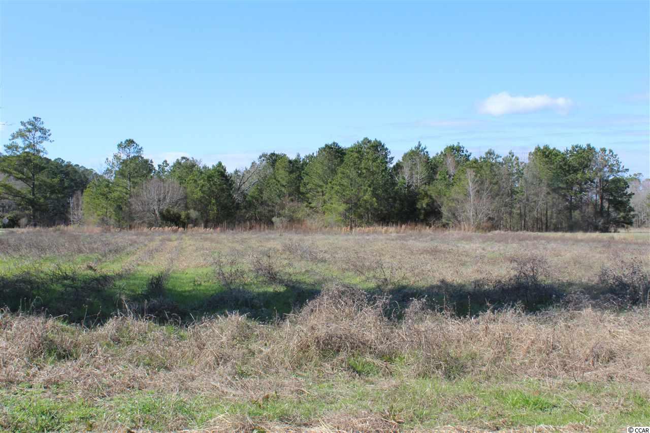 Tbd1 Old Reaves Ferry Road Conway, SC 29526 - Photo 14 of 20 Gallery Image 14