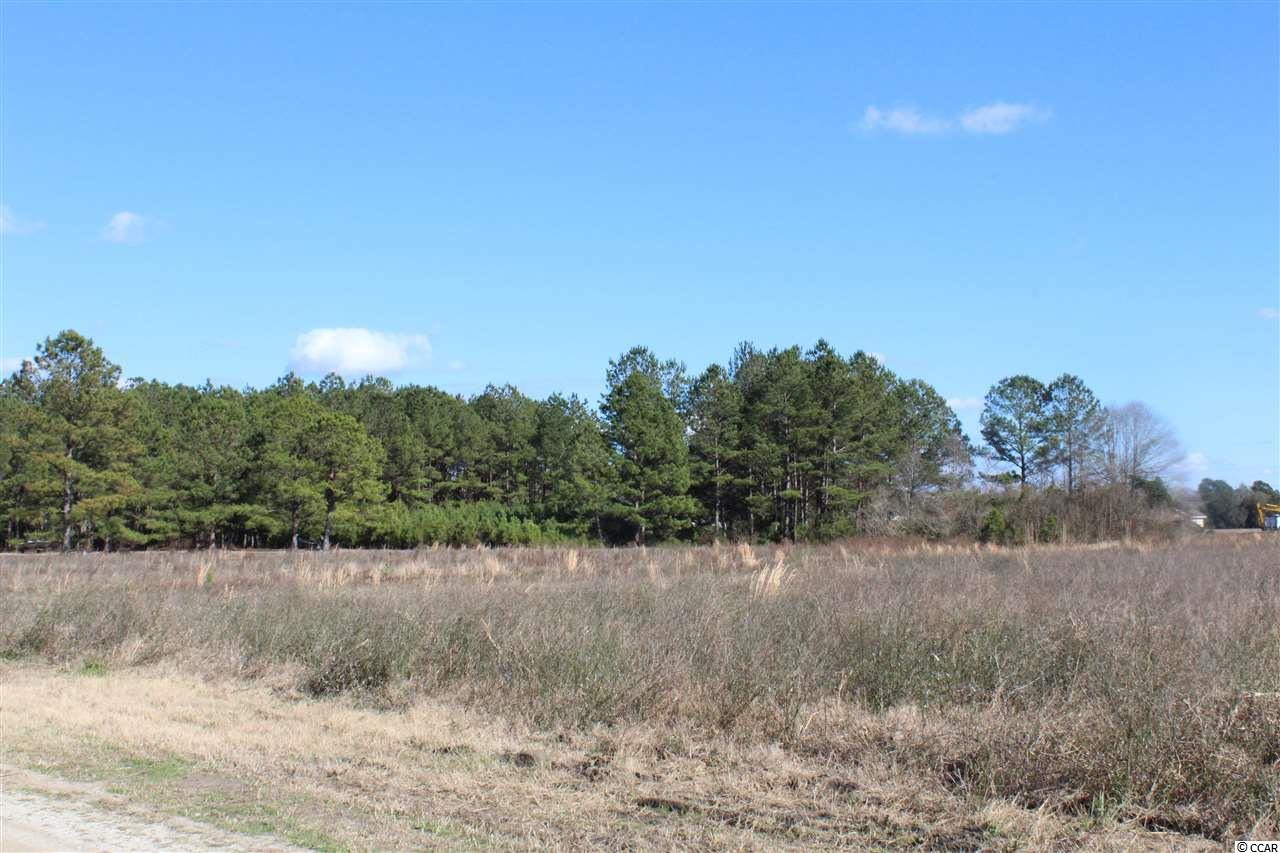 Tbd1 Old Reaves Ferry Road Conway, SC 29526 - Photo 17 of 20 Gallery Image 17