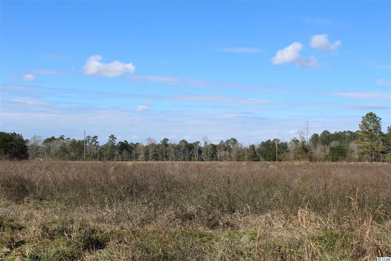 Tbd1 Old Reaves Ferry Road Conway, SC 29526 - Photo 20 of 20 Gallery Image 20