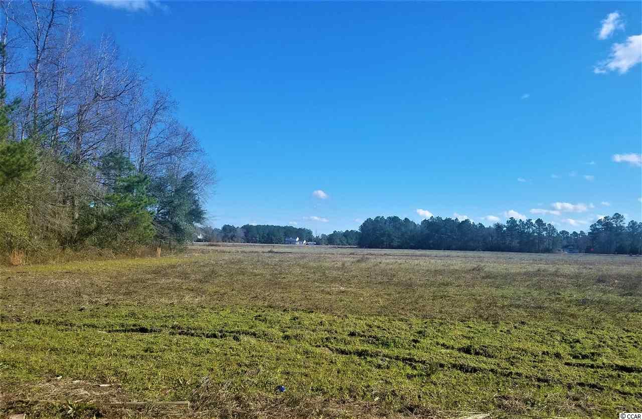 Tbd1 Old Reaves Ferry Road Conway, SC 29526 - Photo 5 of 20 Gallery Image 5