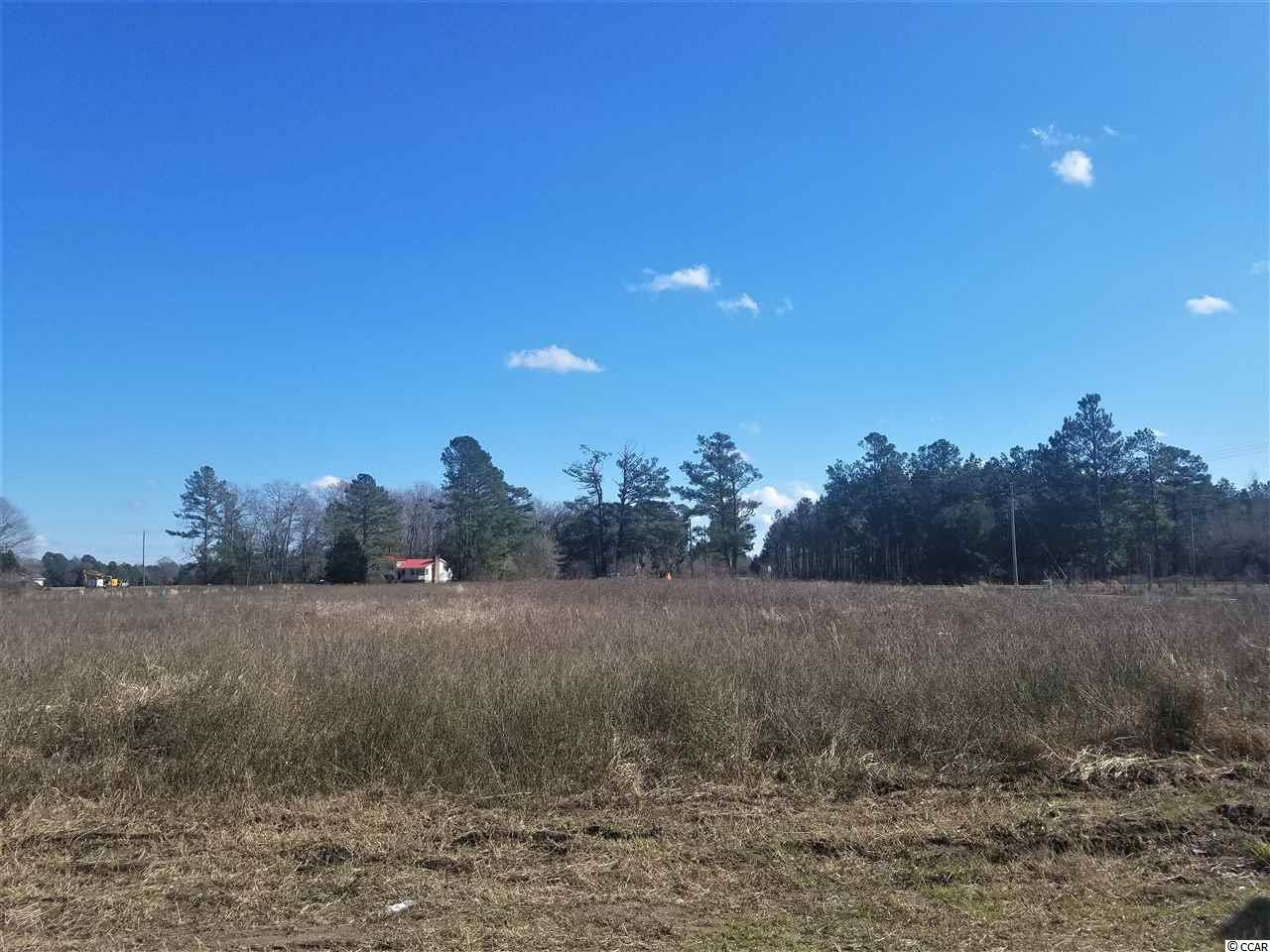 Tbd1 Old Reaves Ferry Road Conway, SC 29526 - Photo 7 of 20 Gallery Image 7