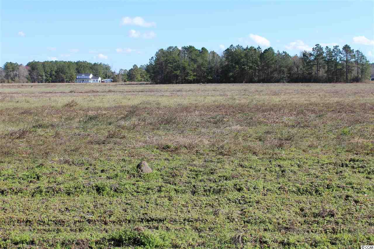 Tbd1 Old Reaves Ferry Road Conway, SC 29526 - Photo 9 of 20 Gallery Image 9
