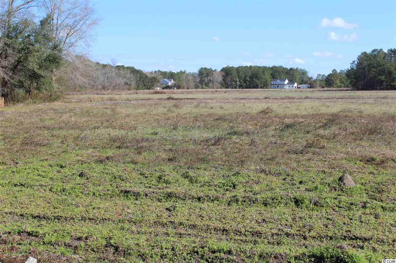 Tbd1 Old Reaves Ferry Road Conway, SC 29526 - Photo 10 of 20 Gallery Image 10