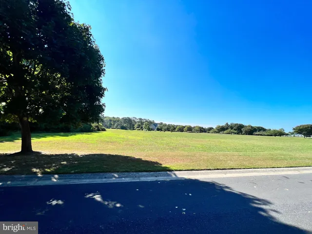 a view of an ocean from a yard