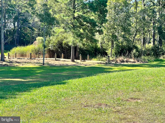 a view of a park with trees and flowers