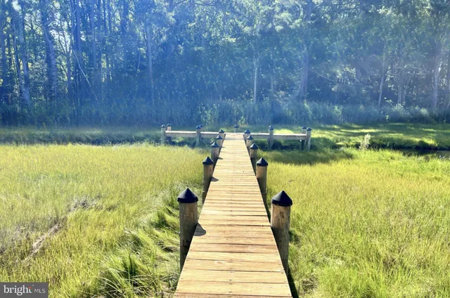 a view of swimming pool with seating area and trees in the background