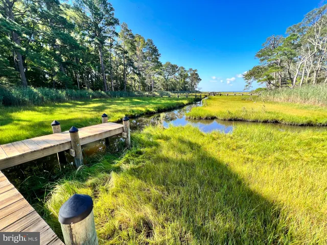 a view of swimming pool and lake view